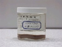 藏品(美麗毛背魚)的圖片